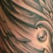 Tattoos - bio-feather-something - 52321